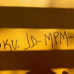 Molino pulverizador de martillos - Image 5